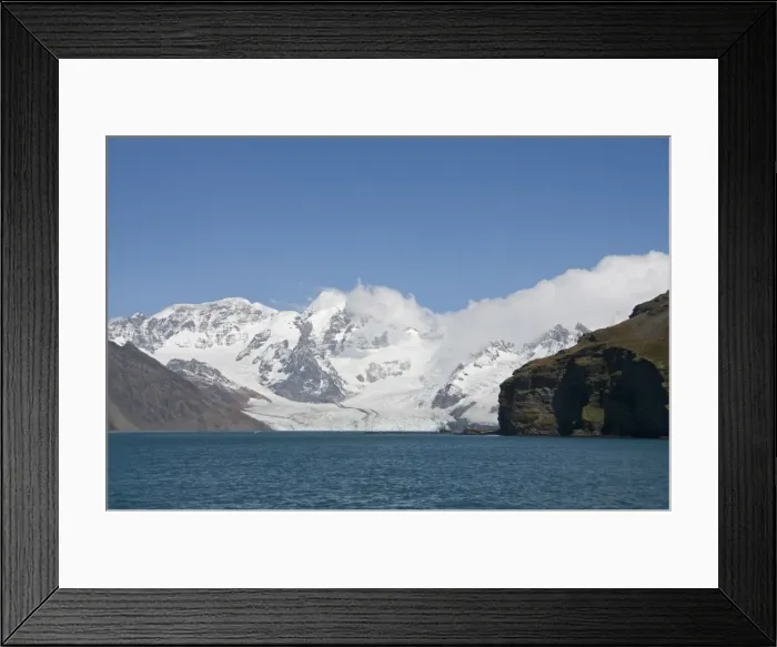 Framed Print : Glacier, Royal Bay, South Georgia, South Atlantic Framed Print : Glacier, Royal Bay, South Georgia, South Atlantic