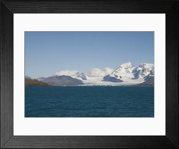 Framed Print : Coastline near Grytviken, South Georgia, South Atlantic Framed Print : Coastline near Grytviken, South Georgia, South Atlantic