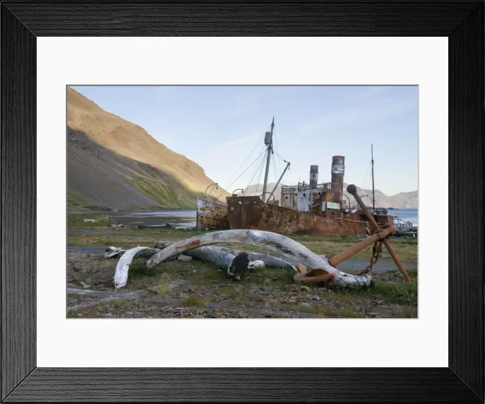 Framed Print : Old whaling station, Grytviken, South Georgia, South Atlantic Framed Print : Old whaling station, Grytviken, South Georgia, South Atlantic