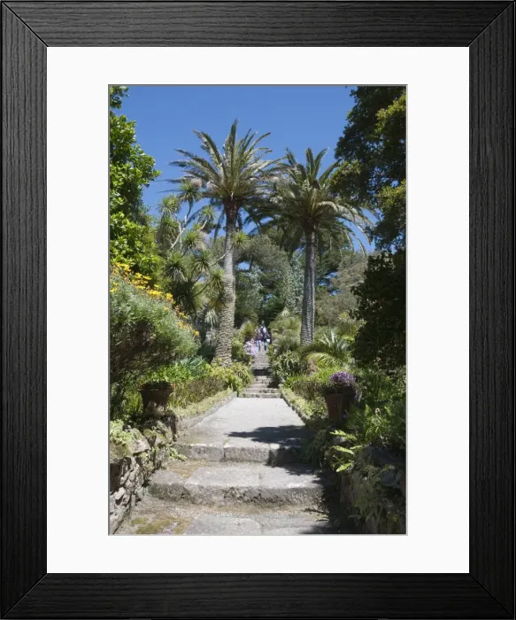Framed Print : Abbey Gardens, Tresco, Isles of Scilly, Cornwall, United Kingdom, Europe Framed Print : Abbey Gardens, Tresco, Isles of Scilly, Cornwall, United Kingdom, Europe