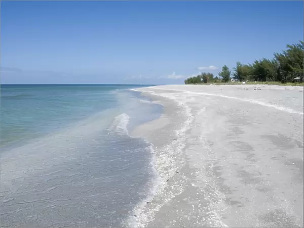 Beach covered in shells, Captiva Island, Gulf Coast, Florida, United States of America