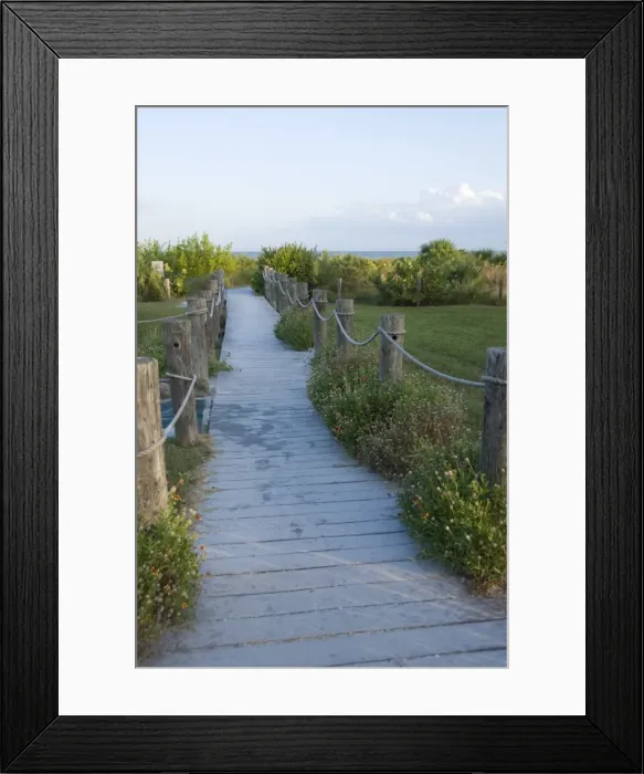 Framed Print : Path to beach, Sanibel Island, Gulf Coast, Florida, United States of America Framed Print : Path to beach, Sanibel Island, Gulf Coast, Florida, United States of America