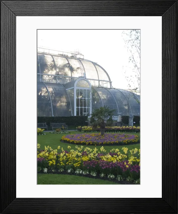 Framed Print : Palm House, Royal Botanic Gardens (Kew Gardens), UNESCO World Heritage Site Framed Print : Palm House, Royal Botanic Gardens (Kew Gardens), UNESCO World Heritage Site