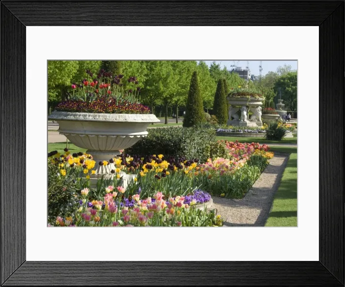 Framed Print : Avenue Gardens, Regents Park, London, England, United Kingdom, Europe Framed Print : Avenue Gardens, Regents Park, London, England, United Kingdom, Europe
