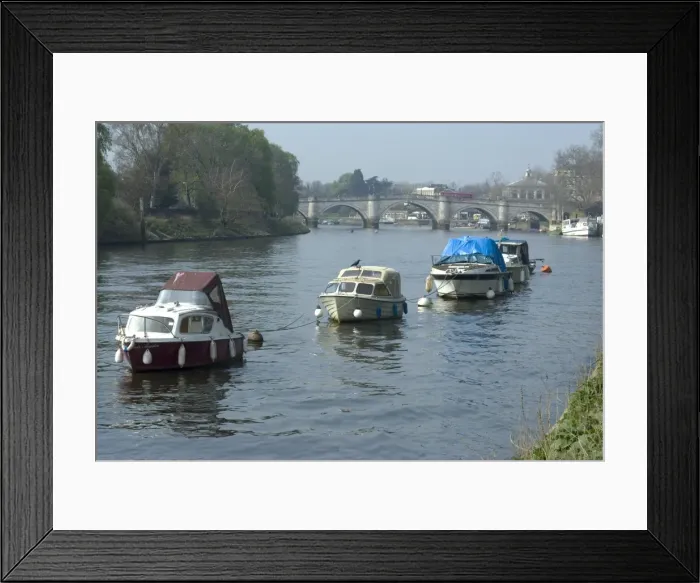 Framed Print : River Thames at Richmond, Surrey, England, United Kingdom, Europe Framed Print : River Thames at Richmond, Surrey, England, United Kingdom, Europe