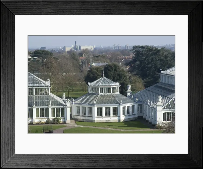 Framed Print : View of the Temperate House from the Tree Top Walk, Royal Botanic Gardens (Kew Gardens) Framed Print : View of the Temperate House from the Tree Top Walk, Royal Botanic Gardens (Kew Gardens)