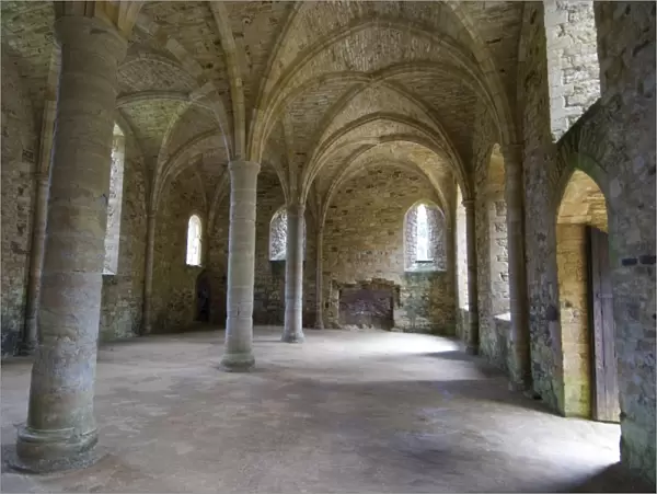 Crypt, ruins of Battle Abbey, Battle, Sussex, England, United Kingdom, Europe