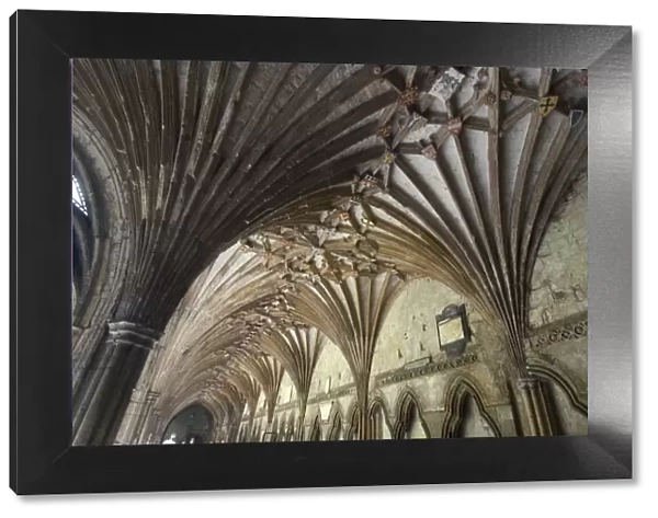 Vaulted ceiling in the cloister, Canterbury Cathedral, UNESCO World Heritage Site