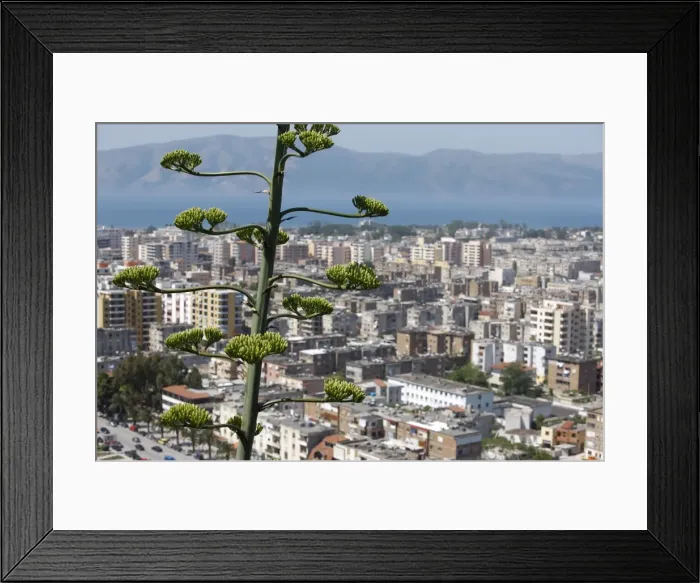 Framed Print : Vlora city, Albania, Europe Framed Print : Vlora city, Albania, Europe