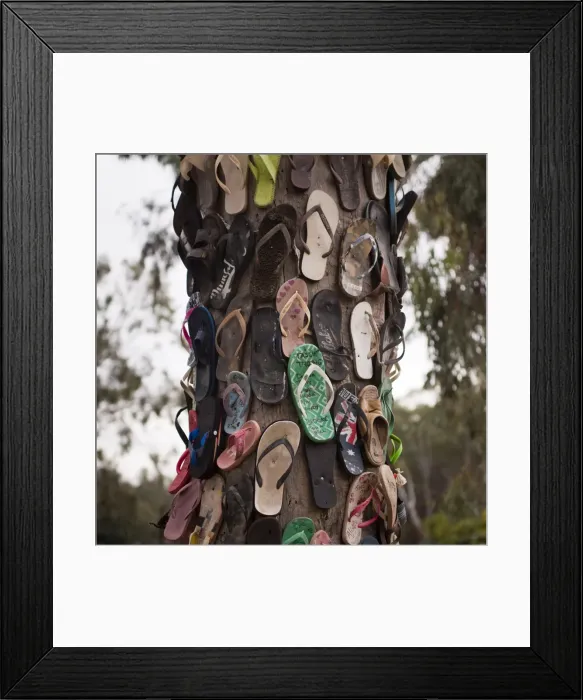 Framed Print : Tree of thongs, Port of Echuca, Echuca, Victoria, Australia, Pacific Framed Print : Tree of thongs, Port of Echuca, Echuca, Victoria, Australia, Pacific