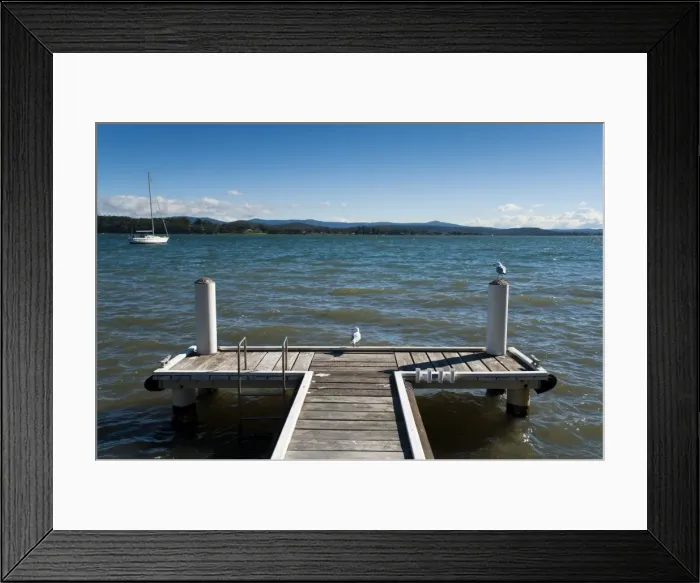 Framed Print : Seagulls on the dock, Lake Macquarie, New South Wales, Australia, Pacific