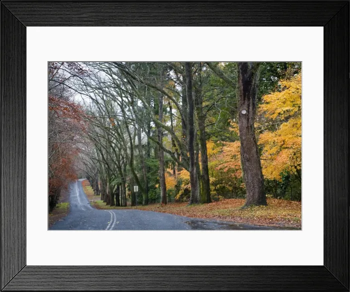 Framed Print : Mount Wilson, Blue Mountains, New South Wales, Australia, Pacific Framed Print : Mount Wilson, Blue Mountains, New South Wales, Australia, Pacific