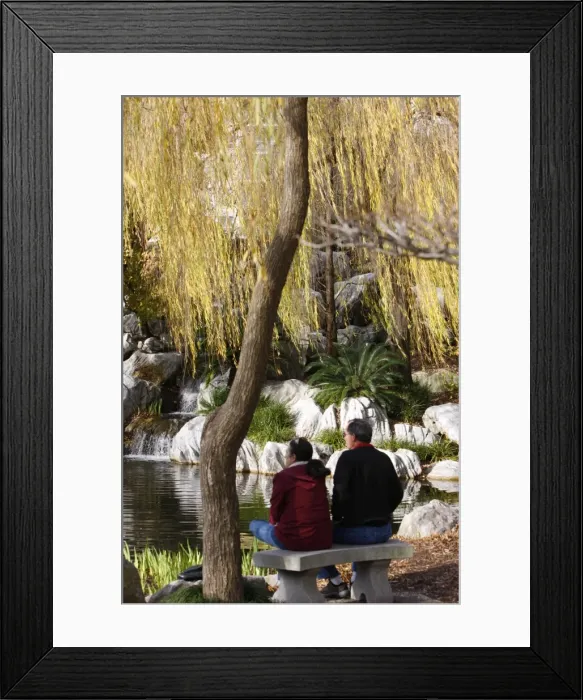 Framed Print : Chinese Garden, Sydney, New South Wales, Australia, Pacific Framed Print : Chinese Garden, Sydney, New South Wales, Australia, Pacific