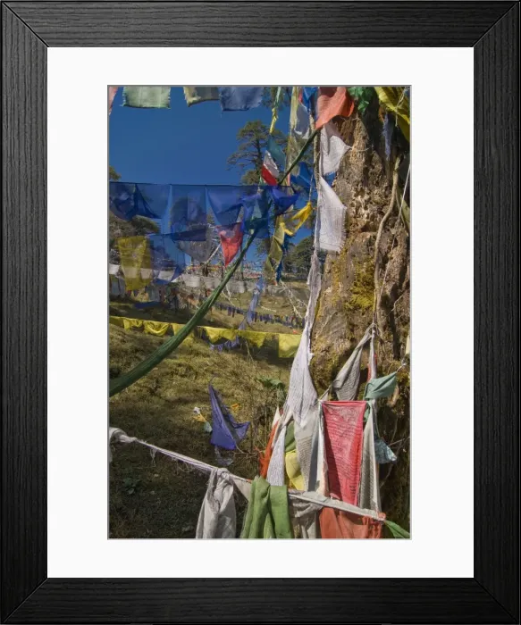 Framed Print : Prayer flags on the pass, Dochu La, Bhutan, Asia Framed Print : Prayer flags on the pass, Dochu La, Bhutan, Asia