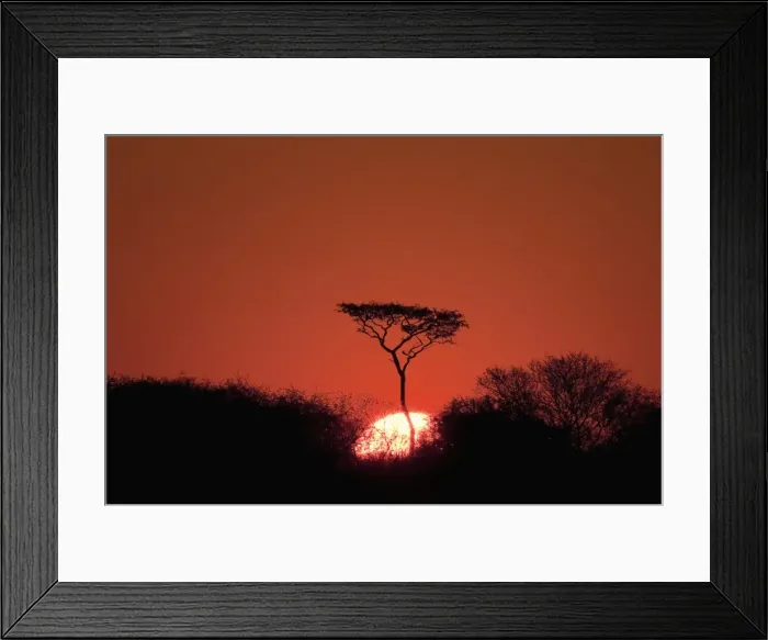 Framed Print : Sunset, Deception Valley, Central Kalahari Game Reserve, Botswana, Sgtivs Framed Print : Sunset, Deception Valley, Central Kalahari Game Reserve, Botswana, Sgtivs