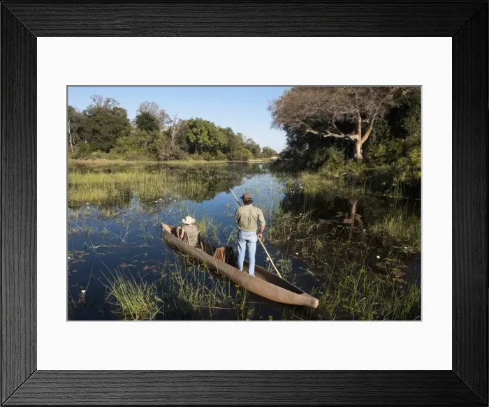 Framed Print : Abu Camp, Okavango Delta, Botswana, Africa Framed Print : Abu Camp, Okavango Delta, Botswana, Africa