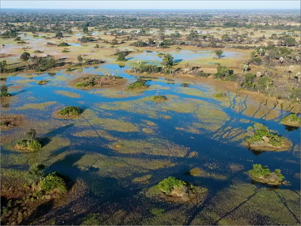 Aerial view of Okavango Delta, Botswana, Africa