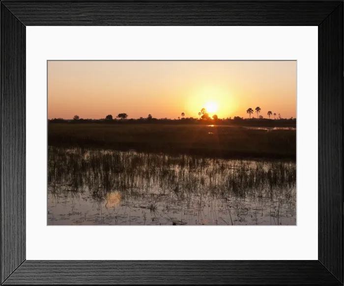 Framed Print : Sunrise, Okavango Delta, Botswana, Africa Framed Print : Sunrise, Okavango Delta, Botswana, Africa