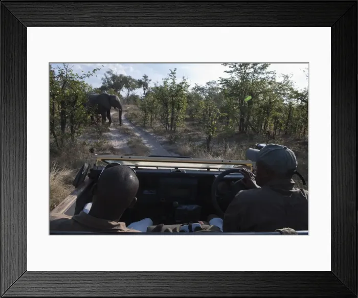 Framed Print : Savute Channel, Linyanti, Botswana, Africa Framed Print : Savute Channel, Linyanti, Botswana, Africa