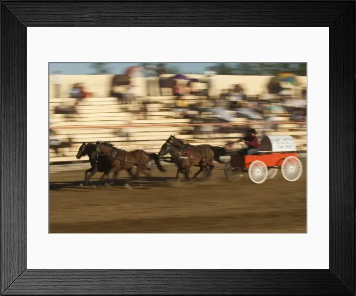 Framed Print : Chuck wagon races, British Columbia, Canada, North America Framed Print : Chuck wagon races, British Columbia, Canada, North America