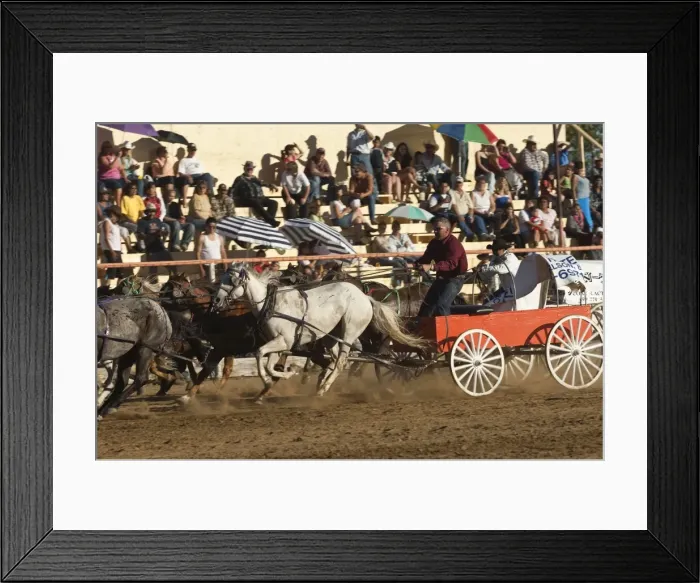 Framed Print : Chuck wagon races, British Columbia, Canada, North America Framed Print : Chuck wagon races, British Columbia, Canada, North America