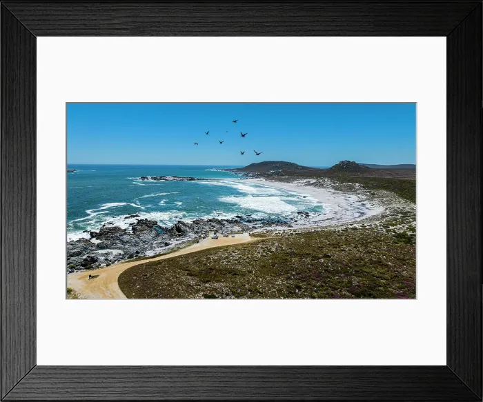 Framed Print : Aerial of a white sandy beach, West Coast National Park, Western Cape Province, South Africa, Africa Framed Print : Aerial of a white sandy beach, West Coast National Park, Western Cape Province, South Africa, Africa