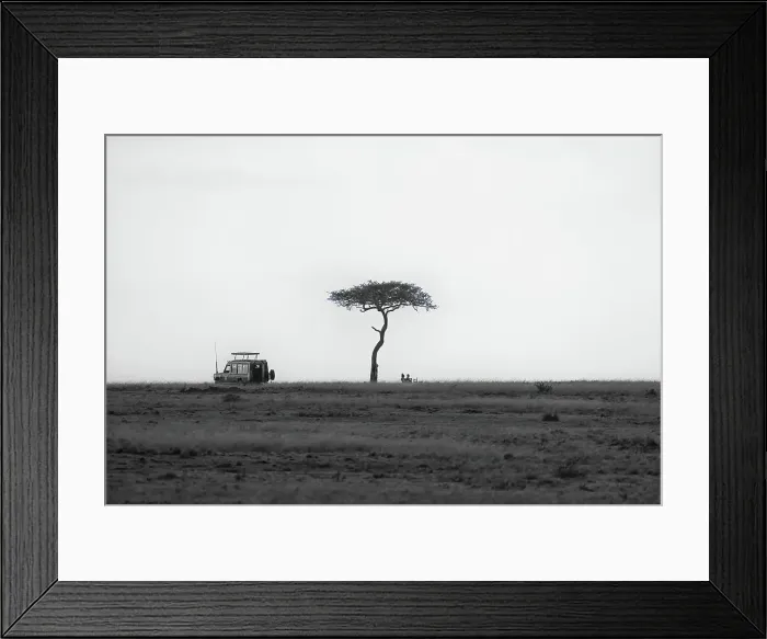 Framed Print : A safari car stopped for a picnic under an Acacia Tree in the Maasai Mara, Kenya, East Africa, Africa Framed Print : A safari car stopped for a picnic under an Acacia Tree in the Maasai Mara, Kenya, East Africa, Africa