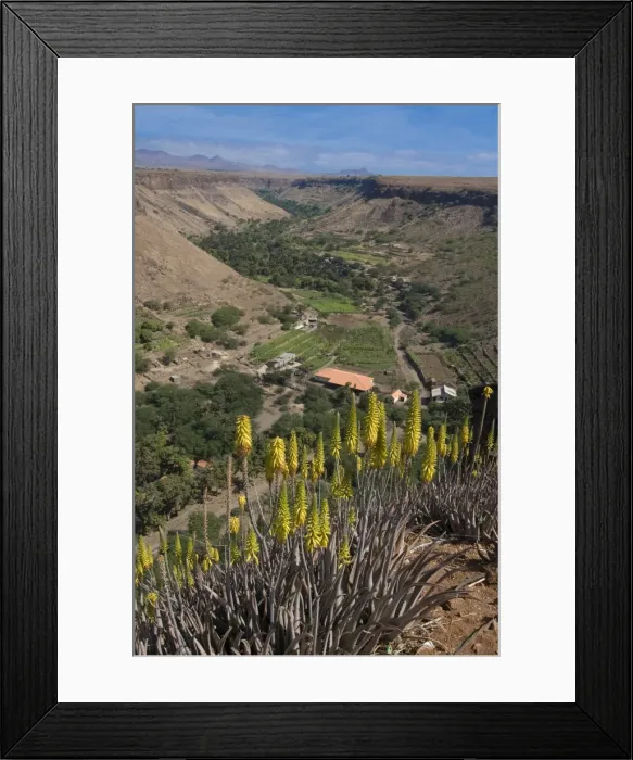 Framed Print : View over valley and blooms, Ciudad Velha (Cidade Velha), Santiago, Cape Verde Islands Framed Print : View over valley and blooms, Ciudad Velha (Cidade Velha), Santiago, Cape Verde Islands