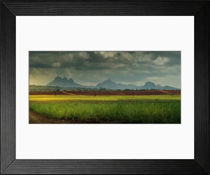 Framed Print : View of landscape and Long Mountain in the interior from near Petit Raffray, Mauritius, Indian Ocean, Africa Framed Print : View of landscape and Long Mountain in the interior from near Petit Raffray, Mauritius, Indian Ocean, Africa