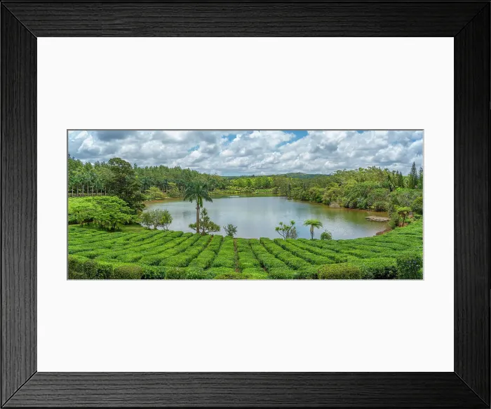 Framed Print : View of exterior of Bois Cheri Tea Estate, Savanne District, Mauritius, Indian Ocean, Africa
