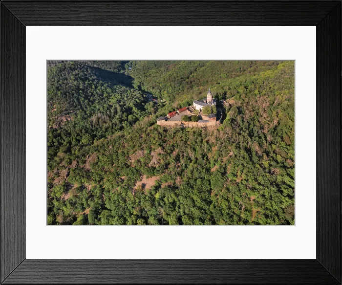 Framed Print : Falkenstein Castle, Harz, Saxony-Anhalt, Germany, Europe Framed Print : Falkenstein Castle, Harz, Saxony-Anhalt, Germany, Europe