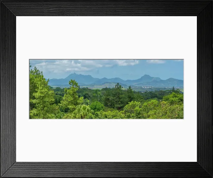 Framed Print : View of landscape from near the Bois Cheri Tea Estate, Savanne District, Mauritius, Indian Ocean, Africa Framed Print : View of landscape from near the Bois Cheri Tea Estate, Savanne District, Mauritius, Indian Ocean, Africa