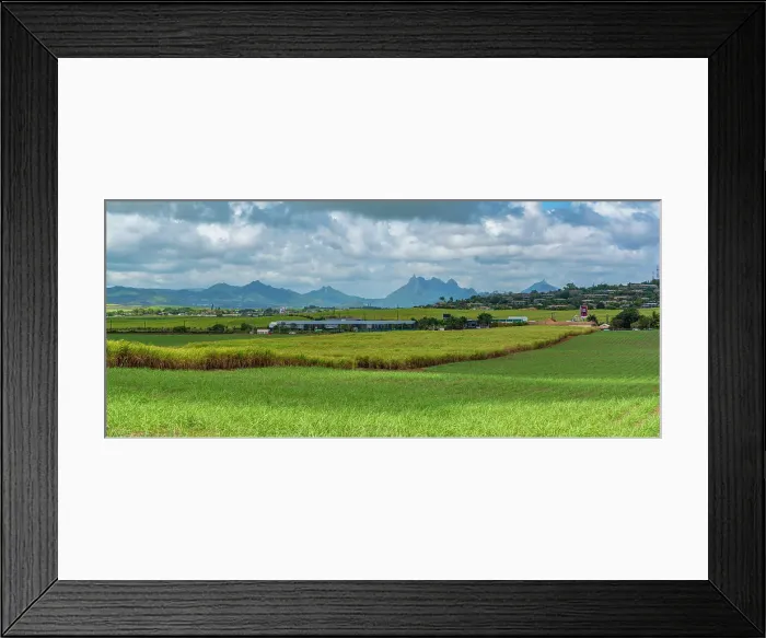 Framed Print : View of landscape and Long Mountain in the interior from near Petit Raffray, Mauritius, Indian Ocean, Africa Framed Print : View of landscape and Long Mountain in the interior from near Petit Raffray, Mauritius, Indian Ocean, Africa