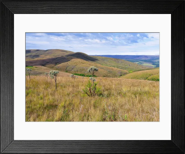 Framed Print : Serra da Canastra landscape and vegetation, Minas Gerais, Brazil, South America Framed Print : Serra da Canastra landscape and vegetation, Minas Gerais, Brazil, South America