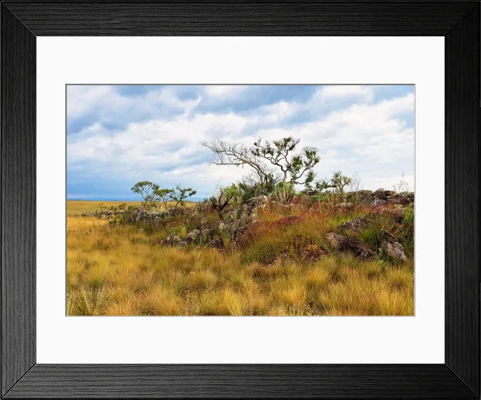 Framed Print : Serra da Canastra landscape, Minas Gerais, Brazil, South America Framed Print : Serra da Canastra landscape, Minas Gerais, Brazil, South America