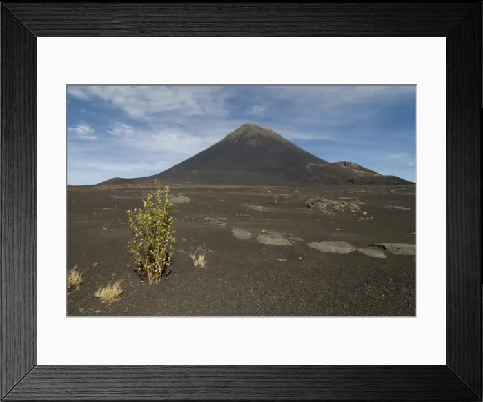Framed Print : Bush in front of volcano on Fogo, Cape Verde Islands, Africa Framed Print : Bush in front of volcano on Fogo, Cape Verde Islands, Africa