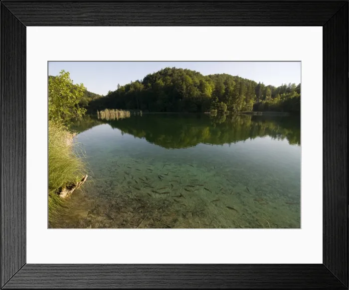 Framed Print : The serene upper Plitvice Lakes National Park, UNESCO World Heritage Site
