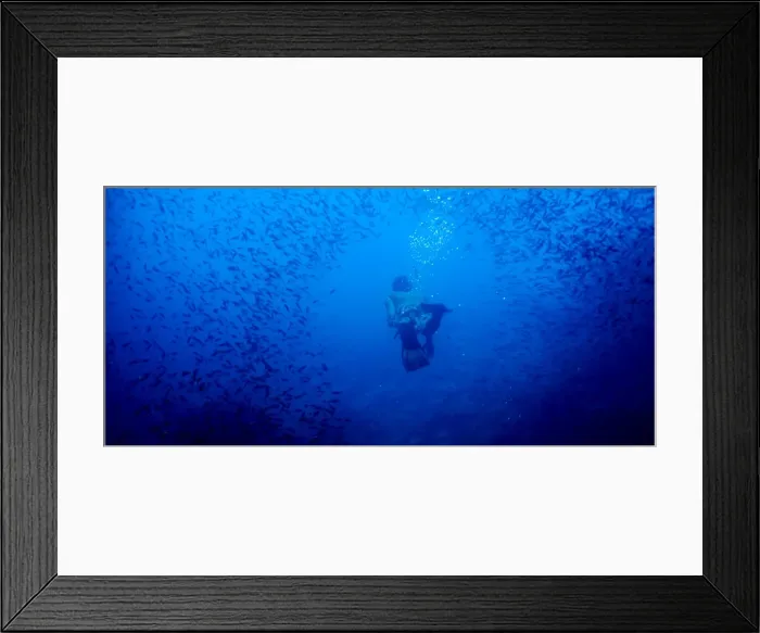 Framed Print : Free diving, Galapagos Islands, Ecuador, South America Framed Print : Free diving, Galapagos Islands, Ecuador, South America