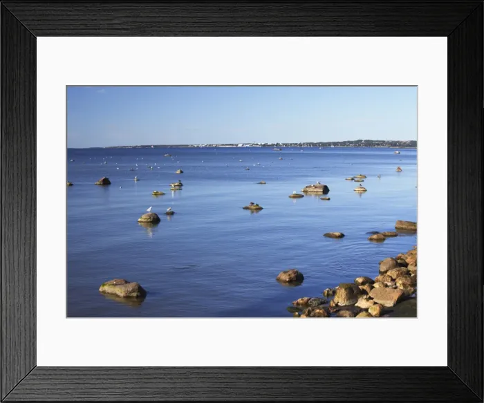 Framed Print : Seagulls on rocks in Pirita Bay, Tallinn, Estonia, Baltic States, Europe Framed Print : Seagulls on rocks in Pirita Bay, Tallinn, Estonia, Baltic States, Europe