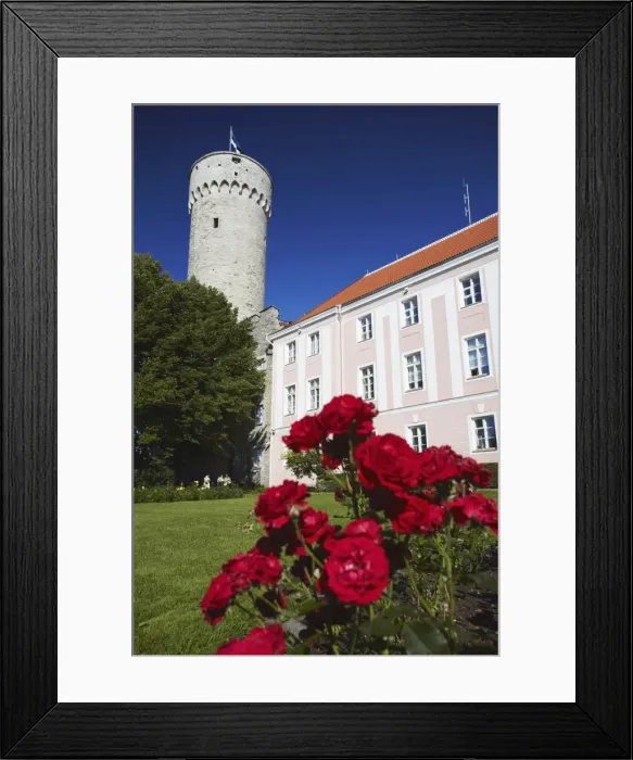 Framed Print : Pikk Hermann (Tall Hermann) Tower at Toompea Castle, Toompea, Tallinn, Estonia Framed Print : Pikk Hermann (Tall Hermann) Tower at Toompea Castle, Toompea, Tallinn, Estonia