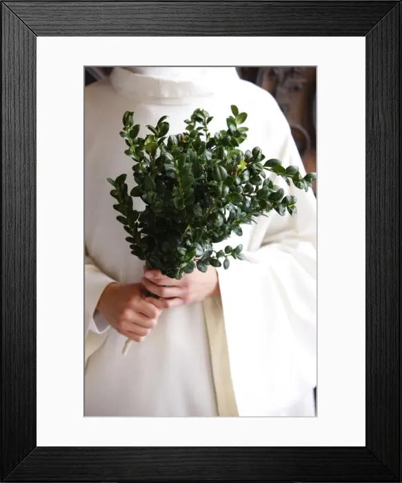 Framed Print : Boxwood branch used for blessing, Paris, France, Europe Framed Print : Boxwood branch used for blessing, Paris, France, Europe