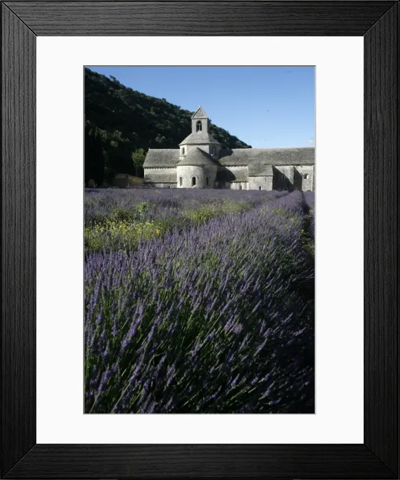 Framed Print : Notre-Dame de Senanque Abbey, Gordes, Vaucluse, France, Europe Framed Print : Notre-Dame de Senanque Abbey, Gordes, Vaucluse, France, Europe