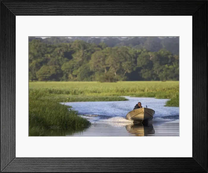 Framed Print : A fisherman in the everglades of Kaw, French Guiana, South America Framed Print : A fisherman in the everglades of Kaw, French Guiana, South America