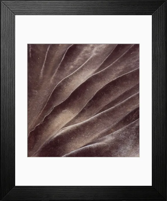 Framed Print : Eroded sandstone, Kamarang Station, Upper Mazaruni District, Guyana, South America Framed Print : Eroded sandstone, Kamarang Station, Upper Mazaruni District, Guyana, South America