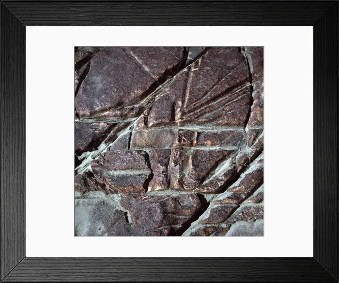 Framed Print : Red jasper rock at Orinduik Falls, Ireng River, Guyana, South America Framed Print : Red jasper rock at Orinduik Falls, Ireng River, Guyana, South America