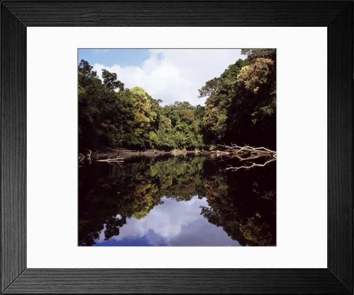 Framed Print : Kamarang River, Upper Mazaruni District, Guyana, South America Framed Print : Kamarang River, Upper Mazaruni District, Guyana, South America