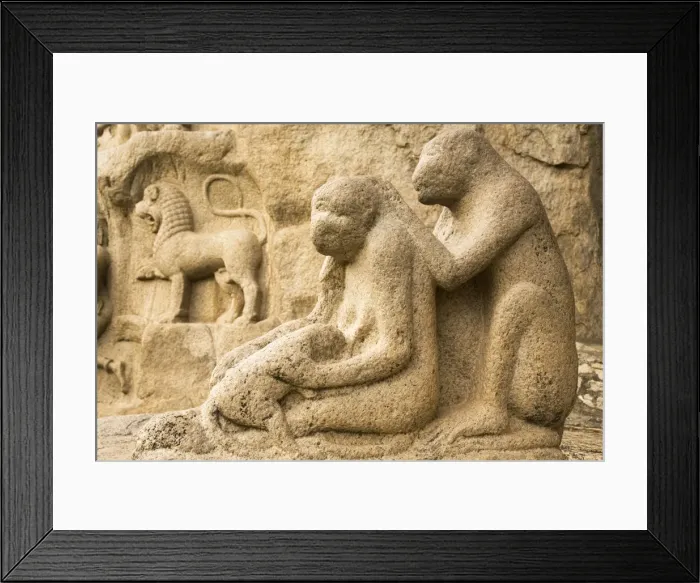 Framed Print : A stone sculpture depicts a group of monkeys grooming close to Arjunas Penance within the ancient site of Mahabalipuram (Mamallapuram), UNESCO World Heritage Site, Tamil Nadu Framed Print : A stone sculpture depicts a group of monkeys grooming close to Arjunas Penance within the ancient site of Mahabalipuram (Mamallapuram), UNESCO World Heritage Site, Tamil Nadu