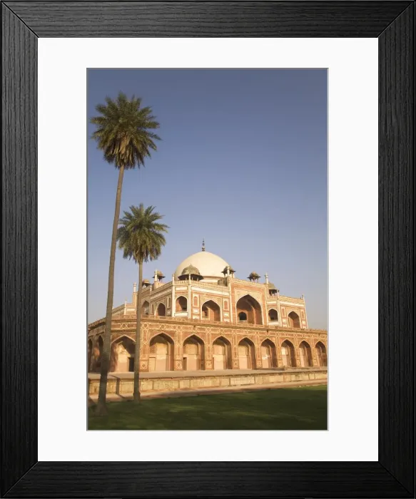 Framed Print : Palm trees beside the earliest example of Mughal architecture, Humayans Tomb Framed Print : Palm trees beside the earliest example of Mughal architecture, Humayans Tomb