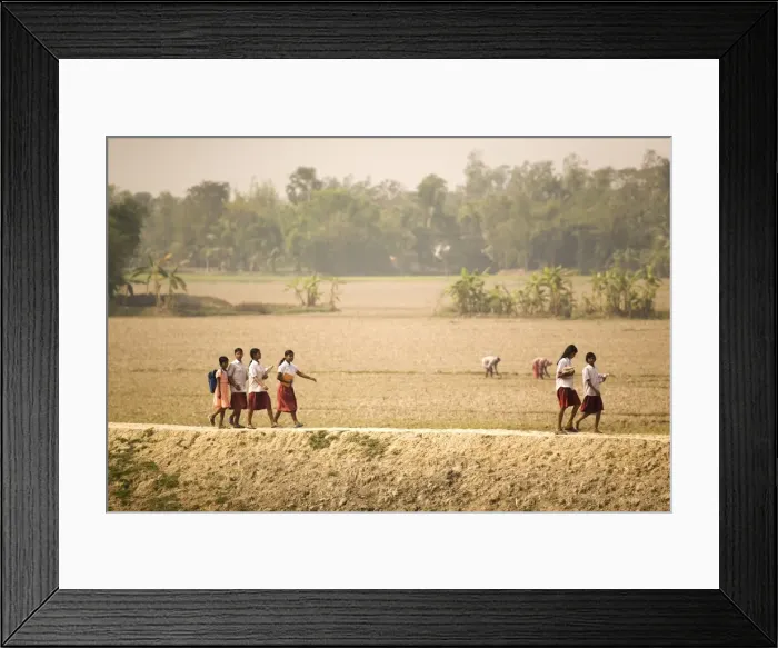 Framed Print : Schoolgirls walk along a dyke on the edge of the Sunderbans (Sundarbans) National Park Framed Print : Schoolgirls walk along a dyke on the edge of the Sunderbans (Sundarbans) National Park