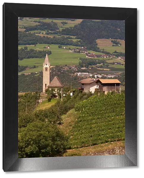Vineyards, Tiso, Funes Valley (Villnoss), Dolomites, Trentino Alto Adige